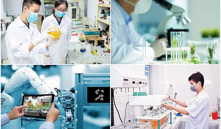 Vai trò của các tổ chức KH&CN trong việc thúc đẩy nghiên cứu và đổi mới sáng tạo: Ứng dụng công nghệ, thương mại hóa sản phẩm nghiên cứu