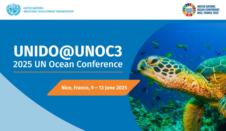 Đại dương đang đối mặt với những thách thức nghiêm trọng