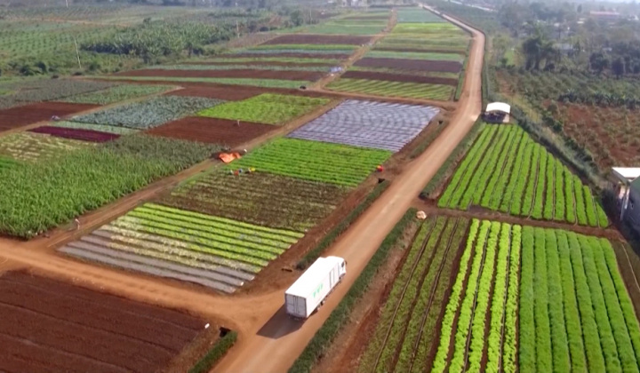 Thái Bình: Tập huấn hội nhập kinh tế quốc tế trong sản xuất nông nghiệp cho hội viên nông dân