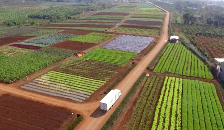 Thái Bình: Tập huấn hội nhập kinh tế quốc tế trong sản xuất nông nghiệp cho hội viên nông dân
