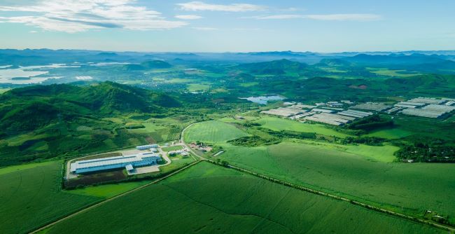 Giải mã những công nghệ hàng đầu trong mô hình kinh tế tuần hoàn phát thải thấp của TH true MILK