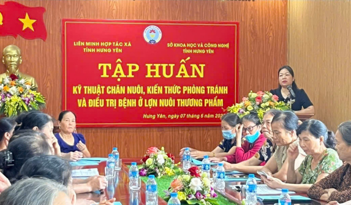 Tập huấn kỹ thuật chăn nuôi lợn thương phẩm tại Hưng Yên: Hướng đi bền vững trước thách thức dịch bệnh