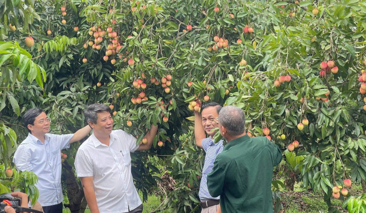 Kinh tế tập thể tại Hưng Yên: Nền tảng vững chắc cho nông thôn phát triển bền vững