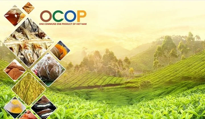 OCOP Việt Nam: Nền tảng chiến lược cho nông nghiệp bền vững và hội nhập toàn cầu