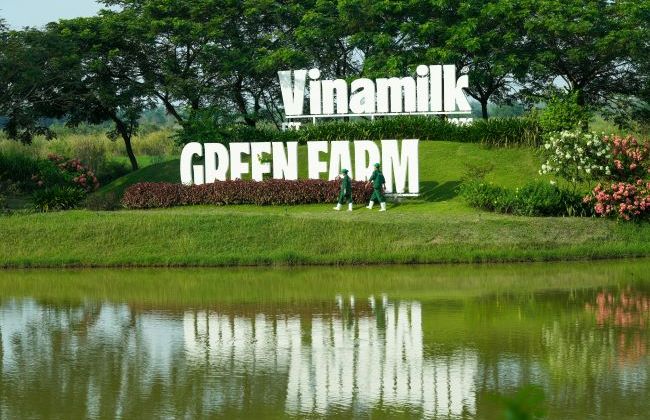 Vinamilk “mở khóa tự nhiên” tại Green Farm: Mô hình sinh thái truyền cảm hứng doanh nghiệp