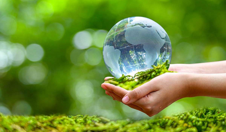 Pháp luật bảo vệ môi trường Việt Nam trước thách thức phát triển bền vững