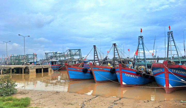 Thanh Hóa: Triển khai có hiệu quả một số chính sách phát triển ngành thủy sản