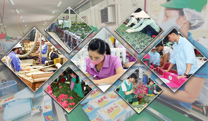 Private economic sector set for breakthrough growth as golden opportunities emerge