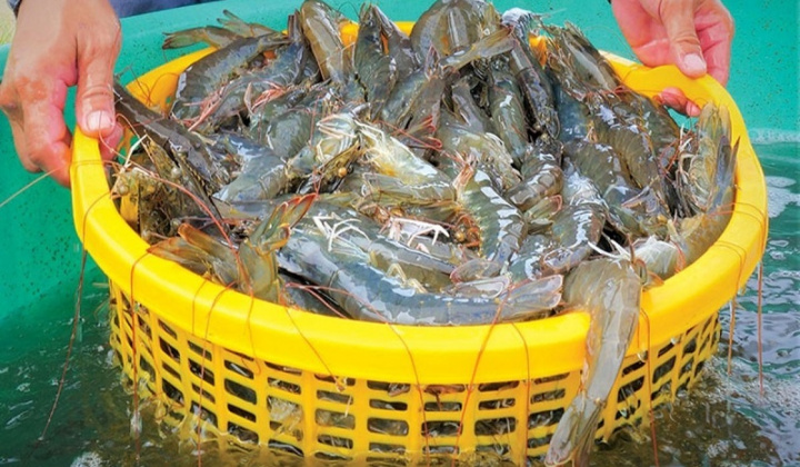 Ngành thủy sản bứt phá, hướng tới mục tiêu xuất khẩu ấn tượng