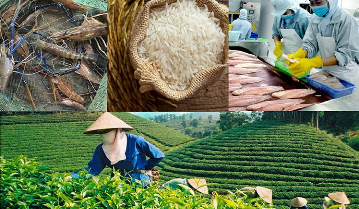 Nâng uy tín nông lâm thủy sản Việt bằng truy xuất nguồn gốc