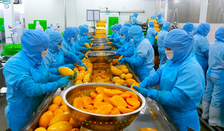 An Giang bứt phá công nghiệp, xuất khẩu tăng tốc