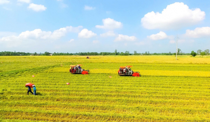 Dự thảo Luật Đất đai (sửa đổi) tập trung tháo gỡ những vướng mắc cấp thiết