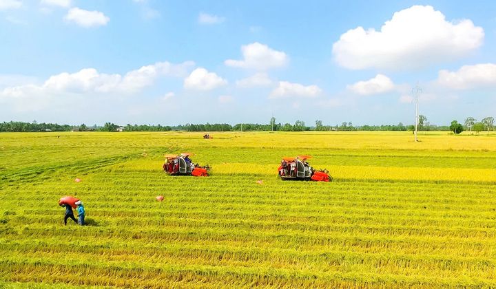 Dự thảo Luật Đất đai (sửa đổi) tập trung tháo gỡ những vướng mắc cấp thiết