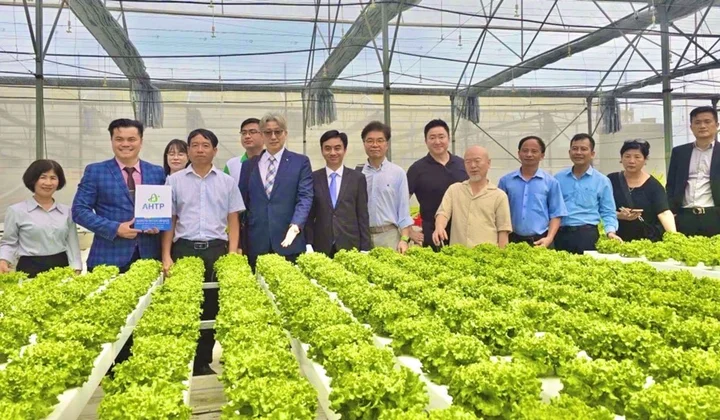 Việt Nam - Hàn Quốc: Tô thắm tình hữu nghị, đưa kinh tế xanh cất cánh