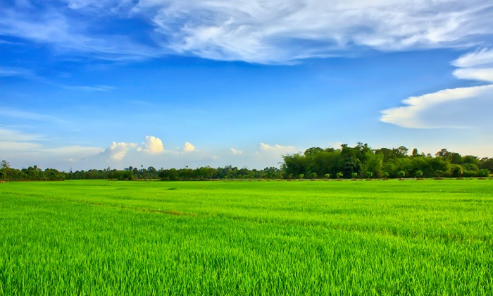 Tháo gỡ vướng mắc triển khai dự án khi quy hoạch đất chưa điều chỉnh