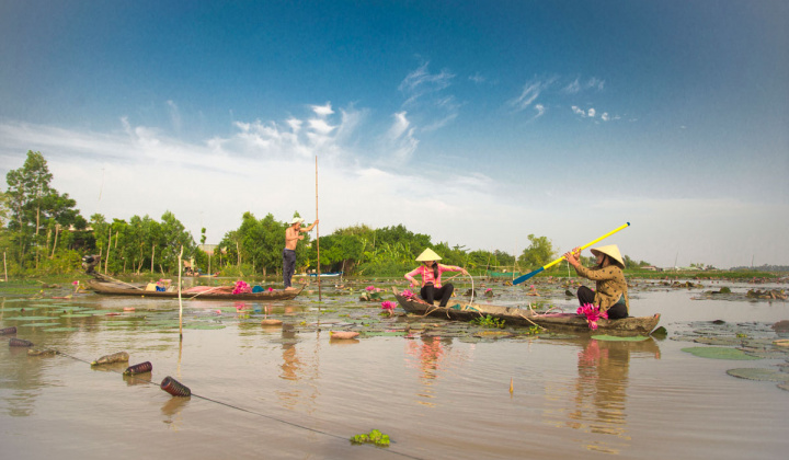 Đồng Tháp đưa phong trào “Bình dân học vụ số” đến mọi người, mọi nhà