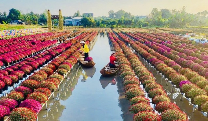 Festival Hoa – Kiểng Sa Đéc: Bước tiến mới trong phát triển du lịch văn hóa – nông nghiệp