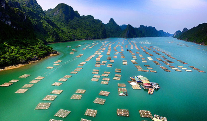 Phê duyệt Cơ chế điều phối liên ngành về phát triển bền vững kinh tế biển