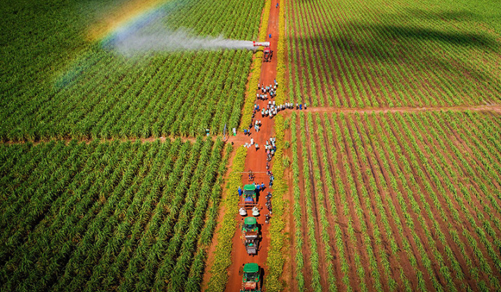 Tây Ninh: Vào cuộc mạnh mẽ nâng cao chỉ số PCI, tạo đà thu hút đầu tư