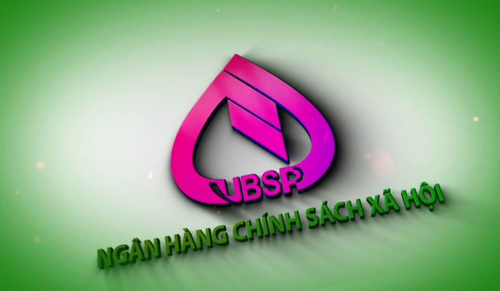 Quy định tổ chức, hoạt động của Ngân hàng Chính sách xã hội