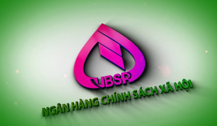Quy định tổ chức, hoạt động của Ngân hàng Chính sách xã hội