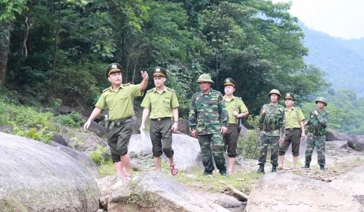 Chuyện về những người gác rừng ở Vũ Quang