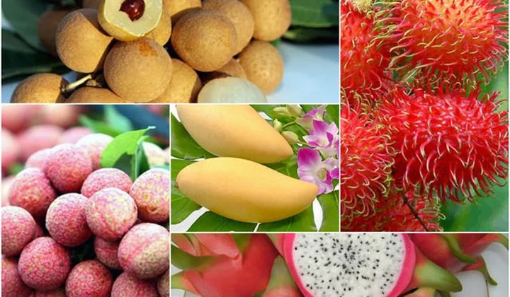 Hỗ trợ nông dân xây dựng thương hiệu, nhãn hiệu hàng hóa nông sản