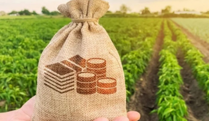 Chính sách mới có hiệu lực từ tháng 1/2026