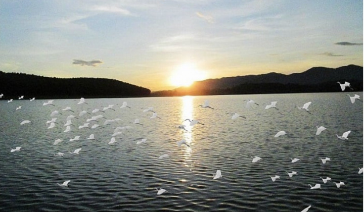 Yên Thành “quê lúa” với những điểm đến du lịch tâm linh và sinh thái trải nghiệm hấp dẫn