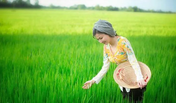 Điều chỉnh quy định về trồng trọt và bảo vệ thực vật
