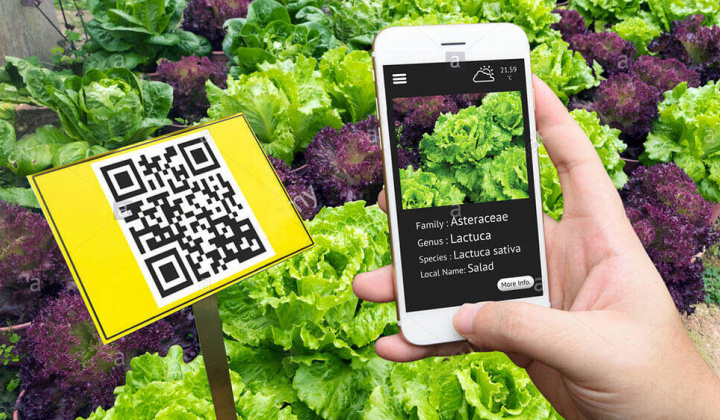 Ứng dụng công nghệ trong quản lý chất lượng sản phẩm, hàng hóa