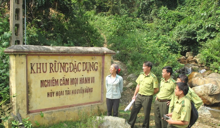 Mở rộng chính sách đầu tư bảo vệ rừng đặc dụng