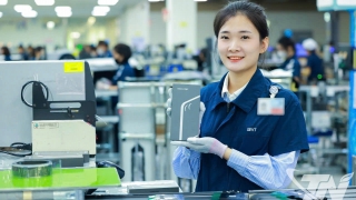 Nhật Bản chia sẻ tài liệu thẩm định sáng chế với các nước đang phát triển từ tháng 1/2026