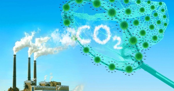 Tổng hạn ngạch phát thải khí nhà kính thí điểm cho năm 2026 là hơn 268 triệu tấn CO2tđ
