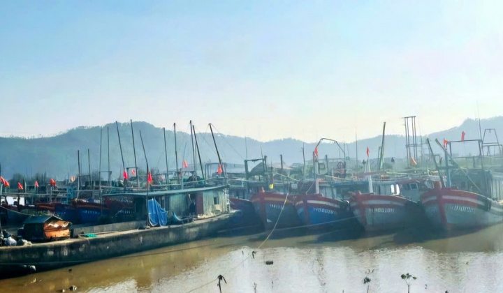 Thanh Hóa: Bước chuyển mạnh mẽ trong chống khai thác thủy sản bất hợp pháp