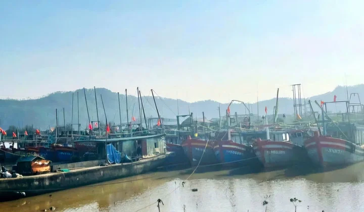 Thanh Hóa: Bước chuyển mạnh mẽ trong chống khai thác thủy sản bất hợp pháp