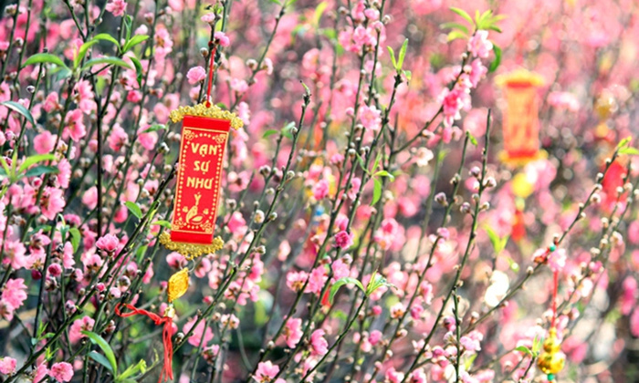 Phục vụ Nhân dân đón Tết Bính Ngọ 2026 an toàn, chu đáo