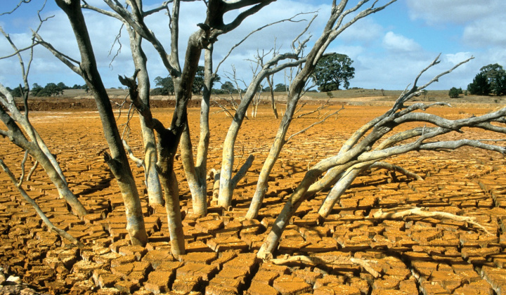 Chủ động trước xâm nhập mặn và cháy rừng khu vực phía Nam