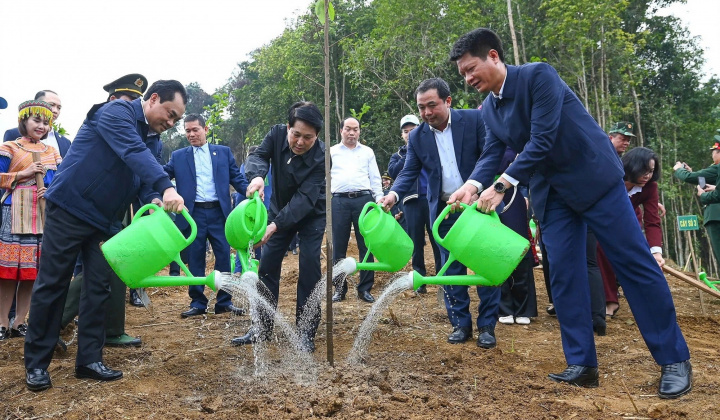 "Tết trồng cây đời đời nhớ ơn Bác Hồ” Xuân Bính Ngọ 2026