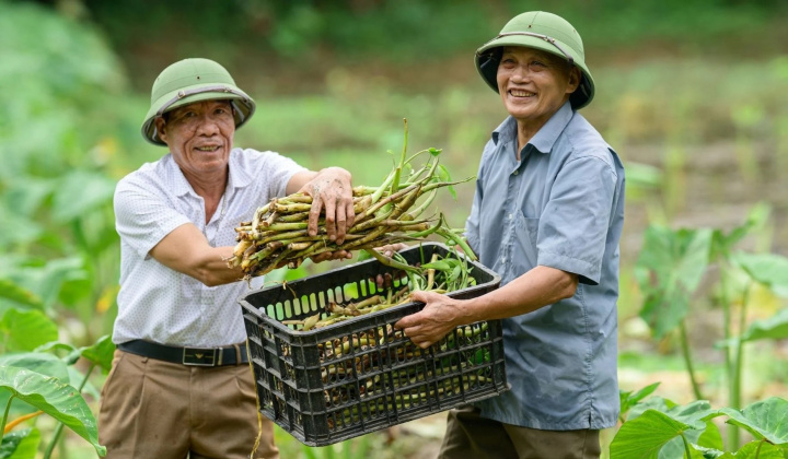 Khai mở tiềm năng ‘kinh tế bạc’ từ nguồn lực người cao tuổi Việt Nam*
