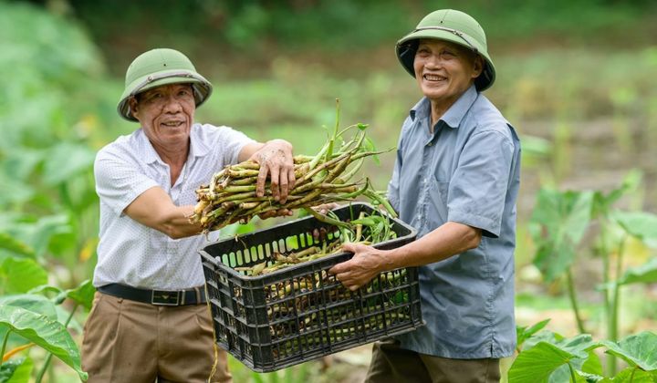 Khai mở tiềm năng ‘kinh tế bạc’ từ nguồn lực người cao tuổi Việt Nam*
