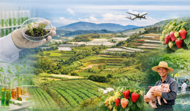 Chủ động nguồn giống chất lượng cao trong tái cơ cấu nông nghiệp: Thực tiễn Lâm Đồng và hàm ý cho Việt Nam