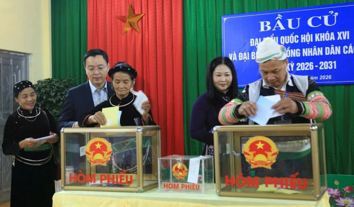 Lào Cai dẫn đầu cả nước về tỷ lệ cử tri đi bầu