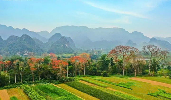 Anh Sơn - Điểm đến hấp dẫn từ chiều sâu lịch sử đến sắc màu lễ hội