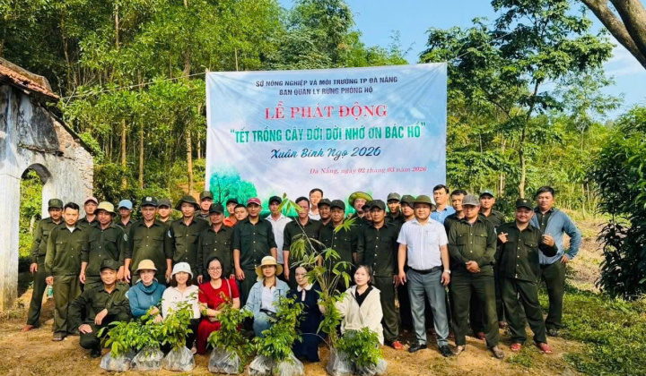 Ban Quản lý rừng phòng hộ Đà Nẵng: Nỗ lực kiến tạo nền tảng quản lý rừng bền vững trong bối cảnh mới