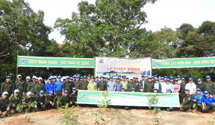 Giữ “lá phổi xanh” cho đô thị: Nỗ lực bền bỉ của Ban Quản lý rừng đặc dụng Đà Nẵng