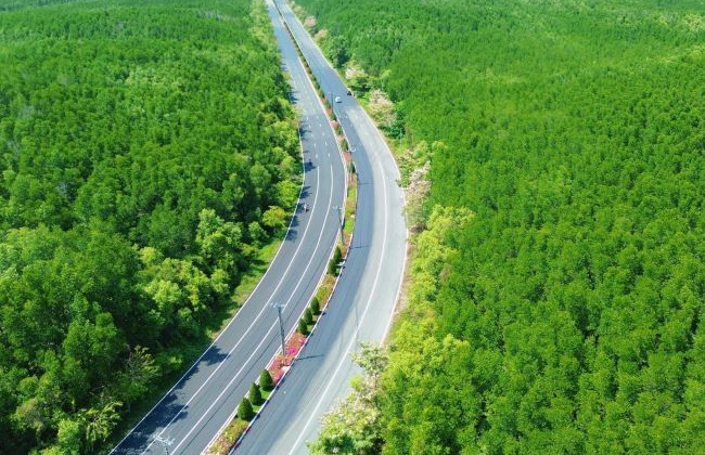 VnExpress Marathon Green Paradise Cần Giờ: Sống khỏe – sống xanh và khai mở điểm đến thể thao đẳng cấp quốc tế