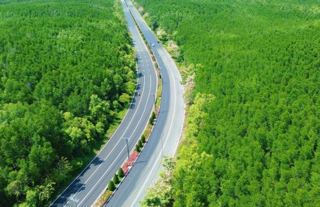 VnExpress Marathon Green Paradise Cần Giờ: Sống khỏe – sống xanh và khai mở điểm đến thể thao đẳng cấp quốc tế