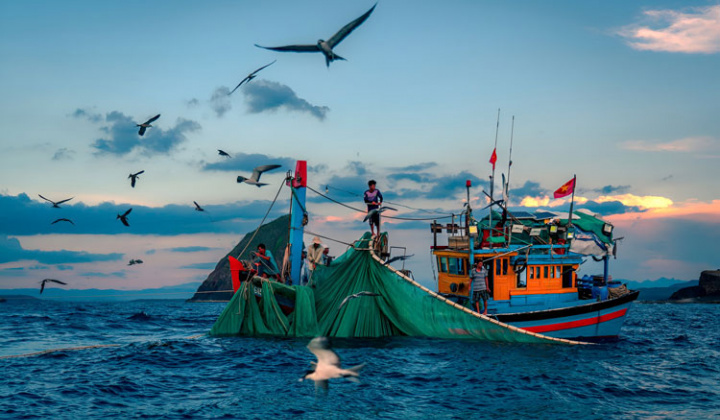 Gỡ thẻ vàng EC, thúc đẩy thủy sản hội nhập bền vững