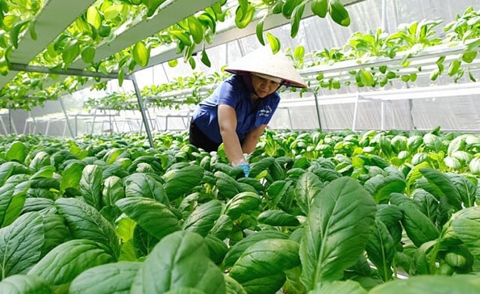 Phát triển kinh tế hợp tác xã, kinh tế xanh trên địa bàn Hà Nội – Thách thức và những vấn đề cần quan tâm